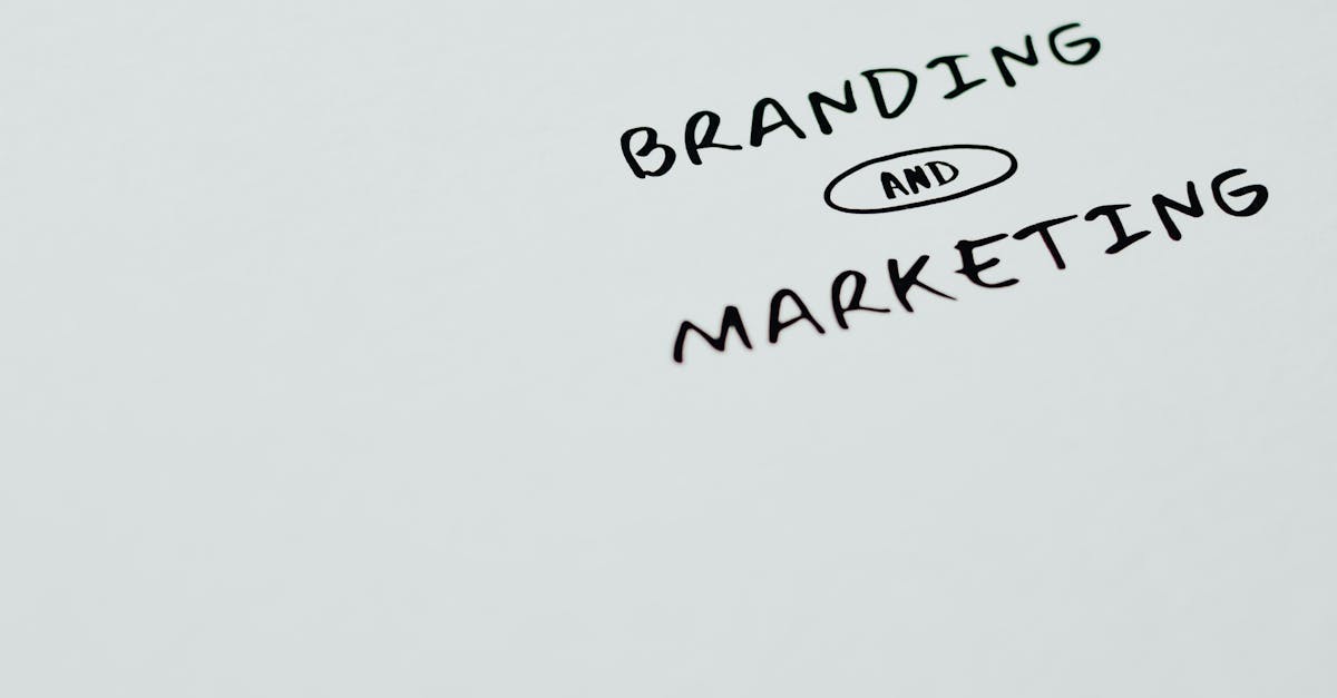 Marketing Agency Tampa: A Practical Guide to Scaling Revenue with Programmatic & Data-Driven Marketing